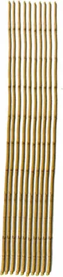 Produktbild von 20x Bambus Stangen 10er 120cm Kletterpflanzen Stütze Binder Hilfe Garten Sticks