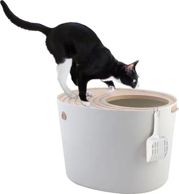 Productafbeelding van Famanu kattenbak met rand en schep - Grijs