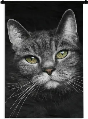 Produktbild von MuchoWow® Wandteppich Wandbehang Haustiere - Katze - Tiere - Schwarz - Weiß 120x180 cm Tapisserie Dekoration Wandtuch - Schlafzimmer - Dekorationen für das Haus