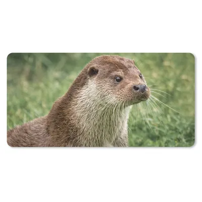 Obrázek produktu pro Podložka pod myš - Vydra v trávě - 80x40cm - Podložka pod myš