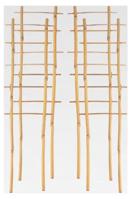 Produktbild von 4-teiliges Bambusspalier 60 cm zur Unterstützung von Kletterpflanzen