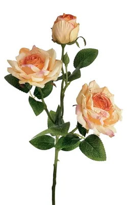 Image de Bouquet de fleurs artificielles pour la décoration intérieure