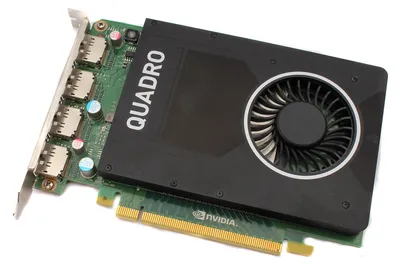 Immagine prodotto di Scheda grafica NVIDIA PNY Quadro M2000, 4 GB GDDR5, 4x DP (versione sfusa)