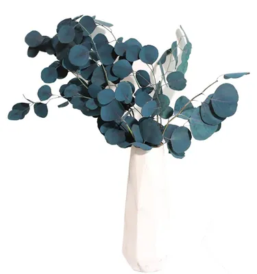 Produktbild von Eukalyptus getrocknete Blumen ewige Haltbarkeit Blumenstrauß Nachbildungation Zuhause Wohnzimmer Nachbildung