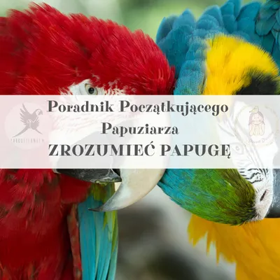 Zdjęcie produktu dla Poradnik ParrotPlanet - Poradnik Początkującego  Papuziarza - ZROZUMIEĆ PAPUGĘ