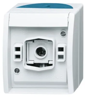 Obrázok produktu pre Busch-Jaeger 2661 W-53, Zelená, Biela, IP44