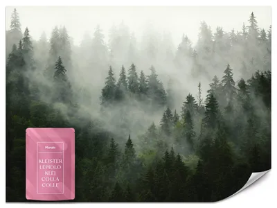 Zdjęcie produktu dla Muralo Fototapeta Flizelinowa LAS WE MGLE Krajobraz 3D 520x318cm Dekoracja Ścienna Do Salonu