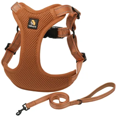 Produktbild von Solidchoice – Verstellbares Hundegeschirr mit atmungsaktivem Mesh-Material und reflektierenden Streifen