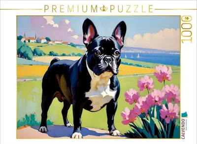 Produktbild von CALVENDO Puzzle Französische Bulldogge | 1000 Teile Lege-Größe 64x48cm Foto-Puzzle für glückliche Stunden