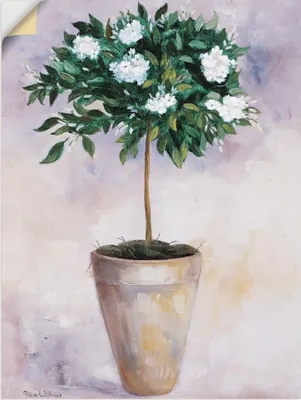 Produktbild von ARTland Wandbild, selbstklebend Winterjasmin Größe: 30x40 cm