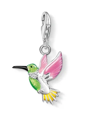 Produktbild von Thomas Sabo Charm-Anhänger Damen Bunter Kolibri Silber 0655-007-7