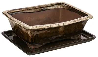 Produktbild von Dehner Bonsaischale, mit Untersetzer, rechteckig, ca. 25,5 x 20 x 9 cm, Keramik, braun /beige