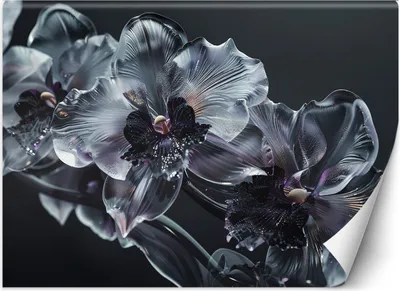 Produktbild von Vlies fototapete Schwarze und weiße Glasblumen 400x280 cm Feeby Grau inkl. Kleber einfache Montage