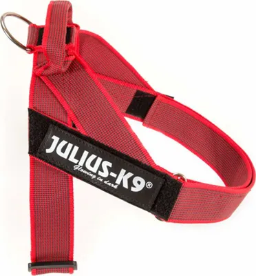 Produktbild von Julius K9 Gurtbandgeschirr - Hundegeschirr - rot - Größe 0 - 58-76 cm