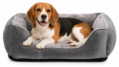 Immagine prodotto di Cuccia per cani di taglia media, con imbottitura confortevole