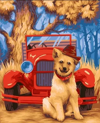 Obrázek produktu pro Malování podle čísel: Psiček v klobouku, 40 x 50 cm