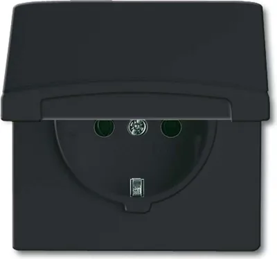 Produktbild von Busch-Jaeger 2064-0-0290, CEE 7/3, 2P+E, Schwarz, 250 V, 16 A, 70 mm