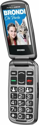 A flip phone with a screen displaying a young girl and a dog.