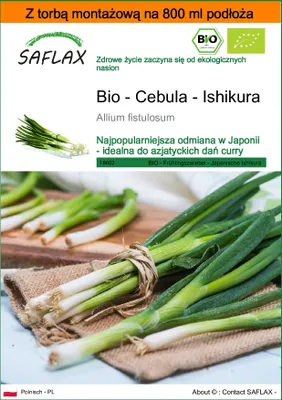Zdjęcie produktu dla SAFLAX - Garden in the bag - Bio - Cebula - Ishikura - 150 Nasiona - Z podłożem uprawowym w praktycznej, samorozkładającej się torbie - Allium fistulosum