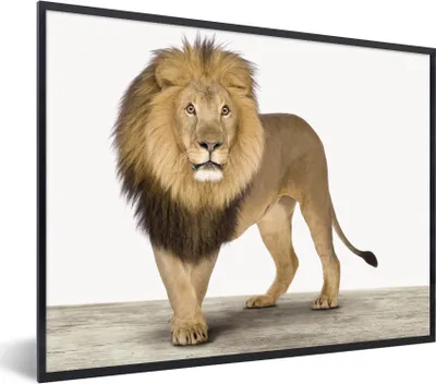 Produktbild von MuchoWow® Gerahmtes Poster Jungen - Löwe - Tiere - Kinder - Mädchen 80x60 cm - Poster mit Schwarzem Bilderrahmen Wandposter Rahmen Foto Bilder - Schwarzem - Mit Gestell