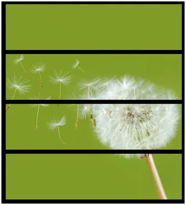 Produktbild von Wallario Möbelfolie / Aufkleber, geeignet für Ikea Malm Kommode mit 4 Schubfächern - Pusteblume auf der Wiese mit fliegenden Samen