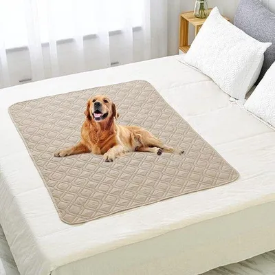 Image de Couverture imperméable pour chiens de toutes tailles - Kaki, 150 x 130 cm