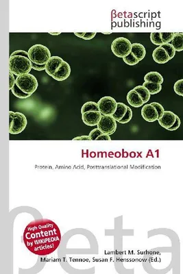 Produktbild von Homeobox A1