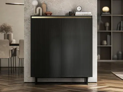 Produktbild von Kommode RTV SELENE von Lindner Möbel – zweitürig – 110,8 x 35 x 125 cm – Farbe: Schwarz matt- Italienische Tiefmattfolie