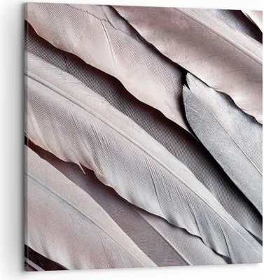 Produktbild von Bild auf Leinwand - Leinwandbild - Einteilig - Federn Flügel Feder - 50x50cm - Wand Bild - Wanddeko - Wandbilder - Leinwanddruck - Bilder - Wanddekoration - Leinwand bilder - Wandbild - AC50x50-5114