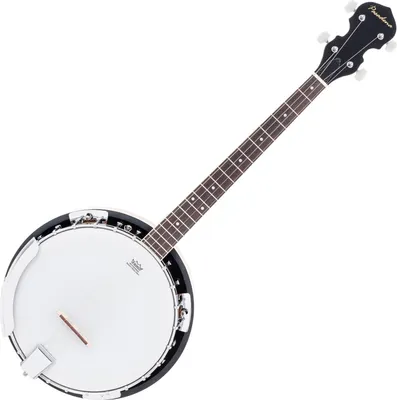 Obrázek produktu pro Pasadena 01BJ004 Natural Banjo