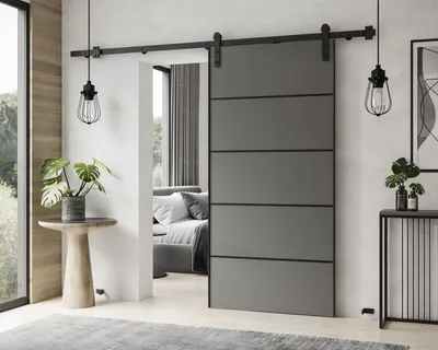 Produktbild von Schiebetür ALDER PLUS mit Türdämpfer 86 cm Graphit