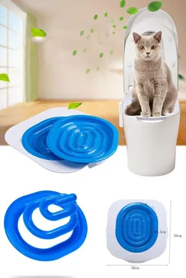 A collage of images showing a cat training system for toilets, including the product itself and a cat sitting on a toilet.