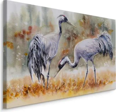 Zdjęcie produktu dla Obraz ptaki żurawie pole akwarela Ozdoba ścienna idealna do salonu 3D 100x70cm