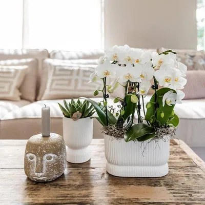 Produktbild von Übertopf Ø9cm Blumentopf mit eleganter Form Keramiktopf Pflanztopf Pflanzgefäß