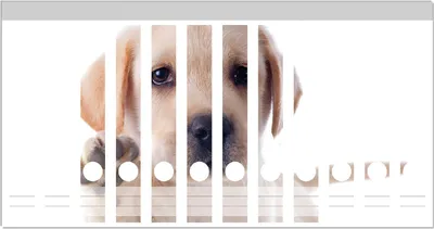 Produktbild von Wallario Ordnerrücken Sticker, selbstklebend für schmale Ordner, 12 Stück, Motiv Süßer Labrador-Welpe sagt Hallo