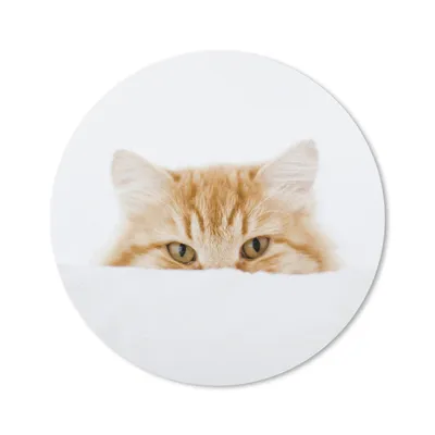 Produktbild von MuchoWow® Mauspad Mousepad Katze - Rot - Weiß - Mädchen - Jungen - Kind 30x30 cm - Mousepads - Maus Mat - Pad - Mausunterlage - Tischunterlage - Schreibtischmatten