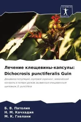 Produktbild von Lechenie kleschewiny-kapsuly: Dichocrosis punctiferalis Guin