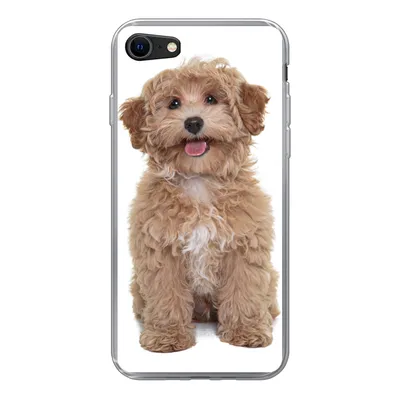 Produktbild von MuchoWow® Handyhülle Schutzhülle Hülle für iPhone 8 Hund - Haustiere - Fell Silikon Softcase Handy Hülle - Schutzhaube