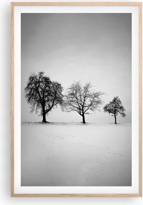 Produktbild von Gerahmtes Poster - Rahmen in heller Eiche - Winter Bäume Schnee - 61x91,5 cm - Wand Bild - Wanddeko - Wandbilder - Kunstposter - Wandposter - Bilderrahmen - Bilder - Kunstdruck - P2NPA61x91-4958