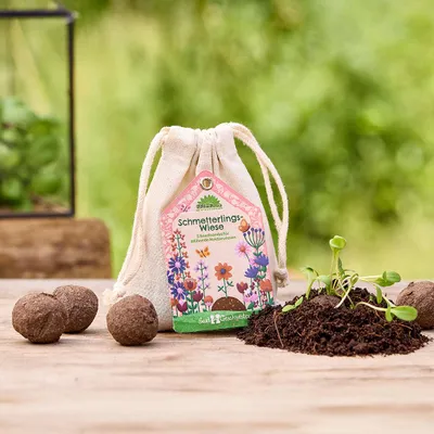Produktbild von Saatkugeln „Schmetterlingswiese“ – Handgemachte Seedbombs mit Wildblumenmischung – Nachhaltiges Geschenk im Baumwollsäckchen – Fördert Schmetterlinge, Bienen & Artenvielfalt