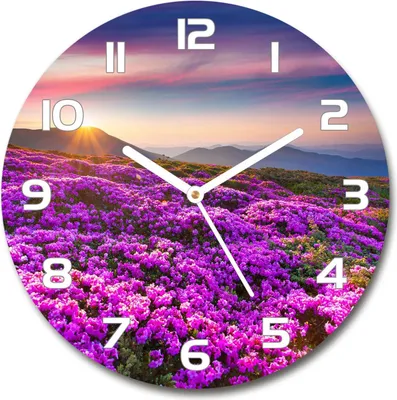 Produktbild von Wanduhr aus Glas 30fi Glasbild Glasuhr Gehärtetes Glas - weisse-zeiger - Flowers in the mountains