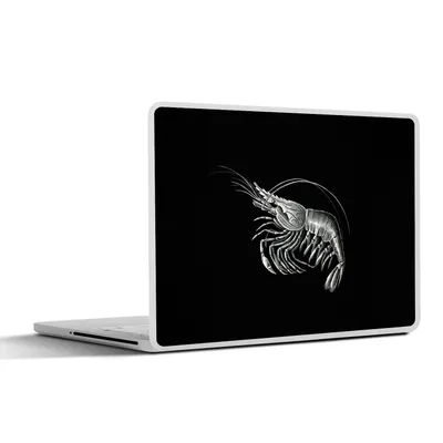 Produktbild von MuchoWow® Laptop Aufkleber Sticker Cover Shrimps - Vintage - Ernst Haeckel - Tiere - Kunst 32.5x23.5 cm - Sticker für Laptop - Selbstklebend