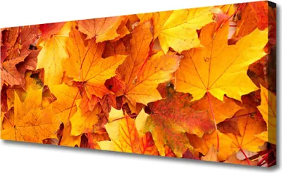 Produktbild von Tulup Leinwand-Bilder 125x50 Wandbild Canvas Kunstdruck Blätter Pflanzen