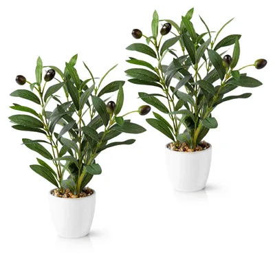 Produktbild von Set mit 2 künstlichen Olivenbäumen (26 cm) in weißen Keramiktöpfen: Realistische Kunstpflanzen | Kunstpflanzen im Topf | Künstliche Pflanze: Olivenbaum | Kleiner künstlicher Olivenbaum | Kunstblumen im Topf
