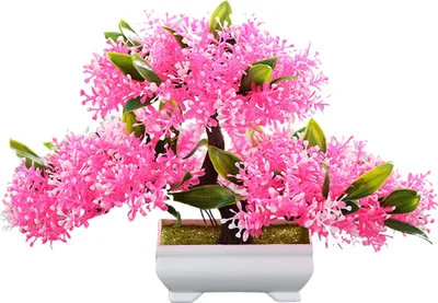 Produktbild von künstliche Pflanze auffällige antifade plastische Desktop gefälschte Topfpflanzen Ornamente für Zuhause-Rosa