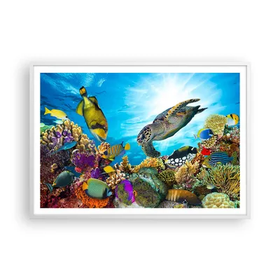 Produktbild von Gerahmtes Poster - Weißer Rahmen - Riff Koralle Fisch - 100x70 cm - Wand Bild - Wanddeko - Wandbilder - Kunstposter - Wandposter - Bilderrahmen - Bilder - Kunstdruck - Wandbild - P2WAA100x70-3704