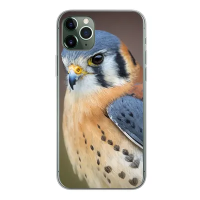 Produktbild von MuchoWow® Handyhülle Schutzhülle Hülle für iPhone 11 Pro Max Vogel - Makro - Blau Silikon Softcase Handy Hülle - Schutz