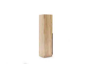 Zdjęcie produktu dla Szafa RIVA 50 craft złoty, z lustrem wewnątrz szafy – 50 x 42 x 245 cm
