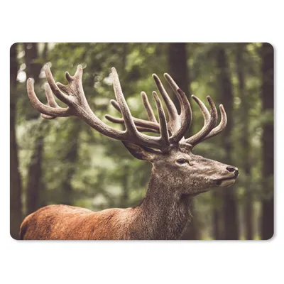 Produktbild von MuchoWow® Mauspad Mousepad Hirsch - Natur - Geweih - Wald - Tiere 23x19 cm - Mousepads - Maus Mat - Pad - Mausunterlage - Schreibtischunterlage - Mauspad