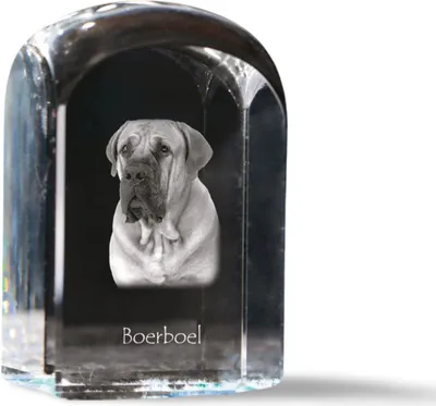 Zdjęcie produktu dla Art-Dog Przycisk do papieru – Boerboel